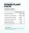 The Power Drive Bundle (3-Product Stack) (30 Servings)