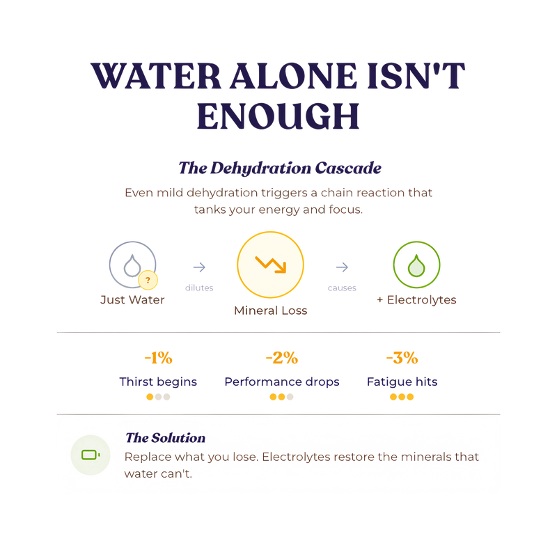 Alex Jones Naturals - Optimal Human Hydration Drink Mix with French Sea Salt — 'Water Alone Isn't Enough' dehydration cascade infographic explaining mineral loss and electrolyte replacement benefits