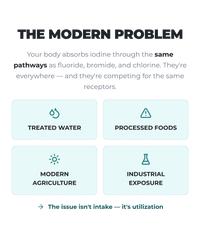 Alex Jones Naturals - T-3 Trifecta Iodine Tincture (90 Servings) — 'The Modern Problem' infographic on iodine absorption competing with fluoride, bromide and chlorine from treated water and food